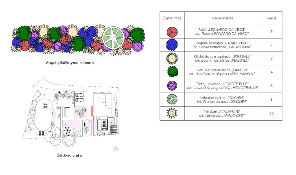 plamas1_14_Želdyno planas nr. 6